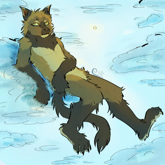 Flat Fullbody-$16